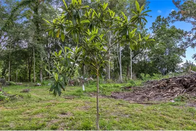 24050 Cortez Boulevard, Brooksville, FL 34601 - Photo 53