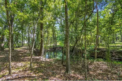 24050 Cortez Boulevard, Brooksville, FL 34601 - Photo 45