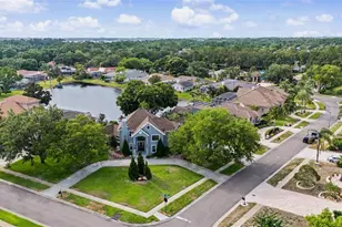 3781 Executive Dr, Palm Harbor, FL 34685 - Photo 55