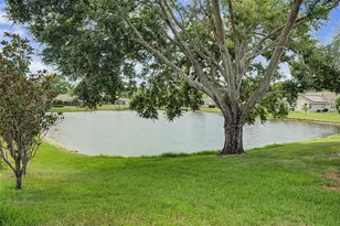 3781 Executive Dr, Palm Harbor, FL 34685 - Photo 53