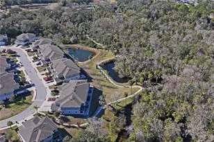 5355 Riverwalk Preserve Dr, New Port Richey, FL 34653 - Photo 3