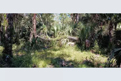 9302 W Tall Pines Court, Crystal River, FL 34428 - Photo 5
