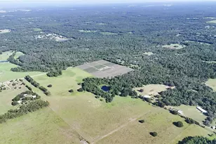 24063 Hayman Rd, Brooksville, FL 34602 - Photo 89