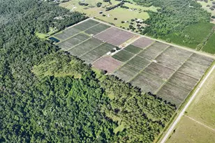 24063 Hayman Rd, Brooksville, FL 34602 - Photo 95