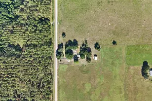 24063 Hayman Rd, Brooksville, FL 34602 - Photo 5