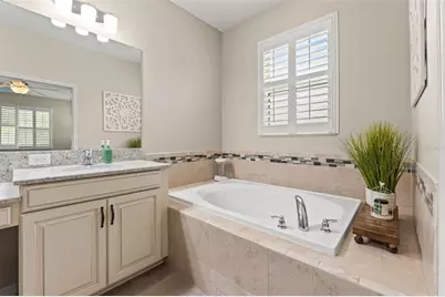 8320 Bluevine Sky Drive, Land O Lakes, FL 34637 - Photo 25