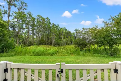 8320 Bluevine Sky Drive, Land O Lakes, FL 34637 - Photo 35