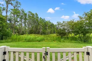 8320 Bluevine Sky Dr, Land O Lakes, FL 34637 - Photo 35