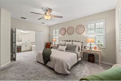 8320 Bluevine Sky Drive, Land O Lakes, FL 34637 - Photo 23