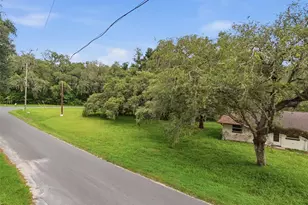 34696 Orchid Pkwy, Ridge Manor, FL 33523 - Photo 5