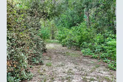 0 Fort Dade Avenue, Brooksville, FL 34601 - Photo 5
