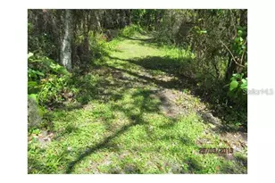 8944 Marigold Dr, New Port Richey, FL 34654 - Photo 35