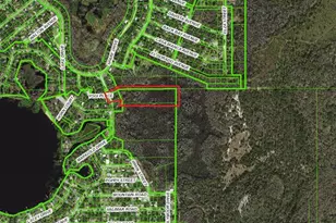 8944 Marigold Dr, New Port Richey, FL 34654 - Photo 3