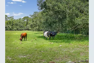 6413 Emerson Road, Brooksville, FL 34601 - Photo 49