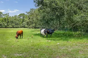 6413 Emerson Rd, Brooksville, FL 34601 - Photo 49