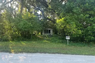 1128 N Jackson Ave S, Spring Hill, FL 34604 - Photo 1