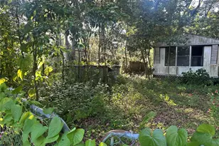 1128 N Jackson Ave S, Spring Hill, FL 34604 - Photo 3