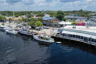1421 Ridge Terrace, Tarpon Springs, FL 34689 - Photo 43