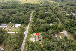 4363 Cr 690, Webster, FL 33597 - Photo 37