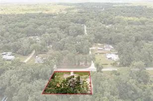 4363 Cr 690, Webster, FL 33597 - Photo 35