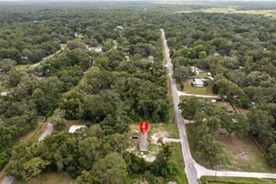 4363 Cr 690, Webster, FL 33597 - Photo 33