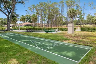 10029 Brookdale Dr, New Port Richey, FL 34655 - Photo 59