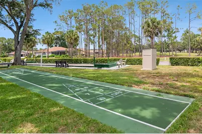 10029 Brookdale Drive, New Port Richey, FL 34655 - Photo 41