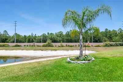10029 Brookdale Drive, New Port Richey, FL 34655 - Photo 47