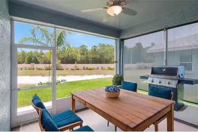 10029 Brookdale Drive, New Port Richey, FL 34655 - Photo 29