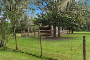 17163 Benes Roush Rd, Brooksville, FL 34604 - Photo 55