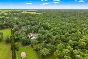 17163 Benes Roush Rd, Brooksville, FL 34604 - Photo 71