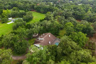 17163 Benes Roush Rd, Brooksville, FL 34604 - Photo 69