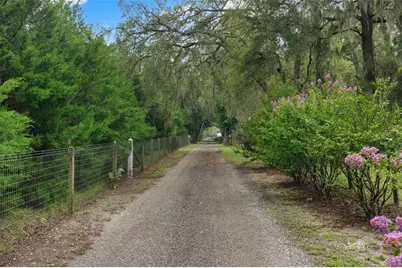 17163 Benes Roush Road, Brooksville, FL 34604 - Photo 67