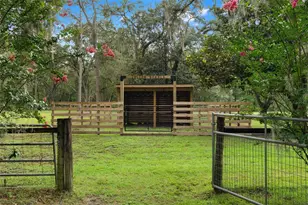 17163 Benes Roush Rd, Brooksville, FL 34604 - Photo 57