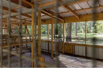 17163 Benes Roush Road, Brooksville, FL 34604 - Photo 61