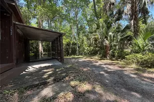 23946 Indigo Rd, Astor, FL 32102 - Photo 3