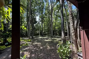 23946 Indigo Rd, Astor, FL 32102 - Photo 15