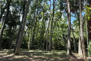 23946 Indigo Rd, Astor, FL 32102 - Photo 17