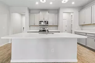 4286 Cloud Hopper Wy, Lutz, FL 33559 - Photo 13