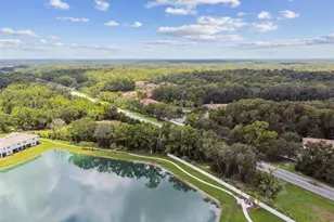 4286 Cloud Hopper Wy, Lutz, FL 33559 - Photo 69