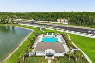 4286 Cloud Hopper Wy, Lutz, FL 33559 - Photo 65