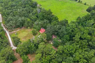 4444 Raines Rd, Brooksville, FL 34604 - Photo 61