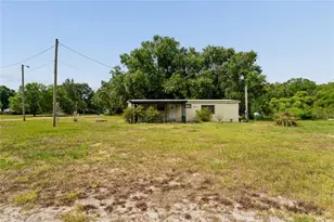 19514 Anton Rd, Land O Lakes, FL 34638 - Photo 3
