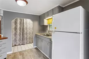 19514 Anton Rd, Land O Lakes, FL 34638 - Photo 7