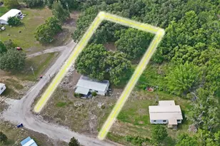19514 Anton Rd, Land O Lakes, FL 34638 - Photo 19