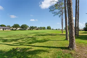 18607 Bent Pine Dr, Hudson, FL 34667 - Photo 47
