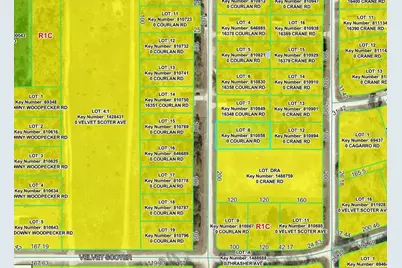 Courlan Road, Weeki Wachee, FL 34614 - Photo 3