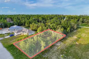 Courlan Rd, Weeki Wachee, FL 34614 - Photo 1