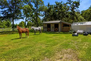 16700 Auburndale Ln, Spring Hill, FL 34610 - Photo 13