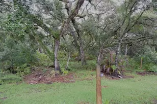 24449 Painter Dr, Land O Lakes, FL 34639 - Photo 31